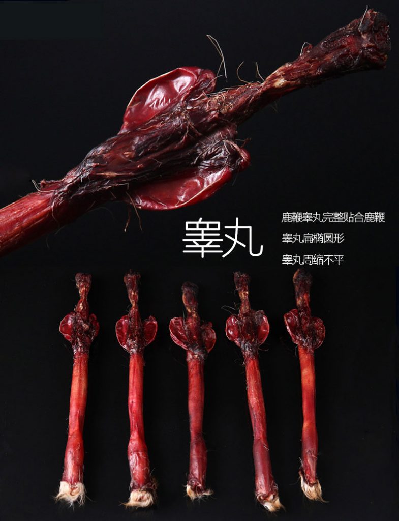 鹿鞭睾丸