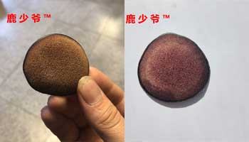 梅花鹿鹿茸和马鹿鹿茸如何区分