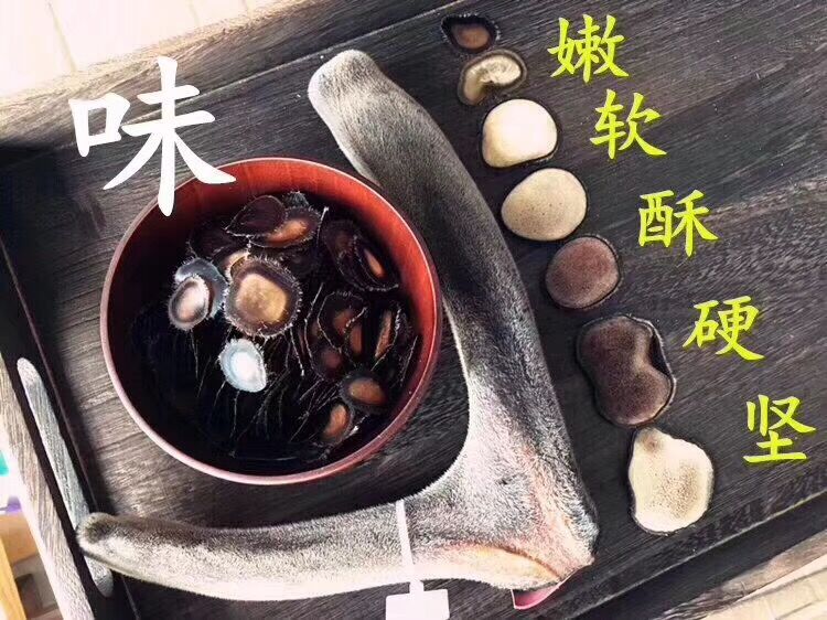 鲜鹿茸泡酒好还是干鹿茸泡酒好